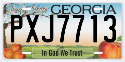 GA license plate PXJ7713