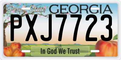 GA license plate PXJ7723