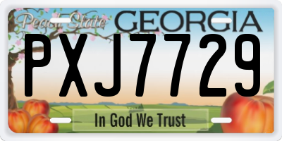 GA license plate PXJ7729