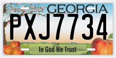 GA license plate PXJ7734