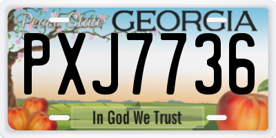 GA license plate PXJ7736