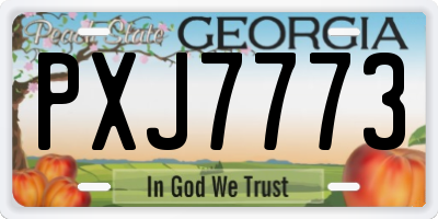 GA license plate PXJ7773