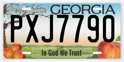 GA license plate PXJ7790