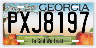 GA license plate PXJ8197