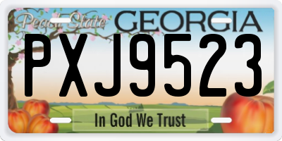 GA license plate PXJ9523