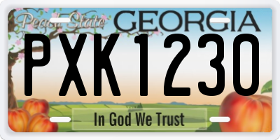 GA license plate PXK1230