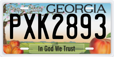 GA license plate PXK2893