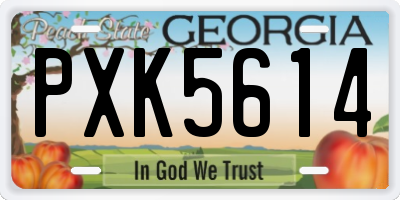 GA license plate PXK5614