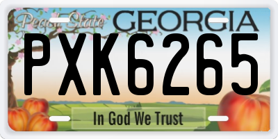 GA license plate PXK6265