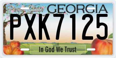 GA license plate PXK7125