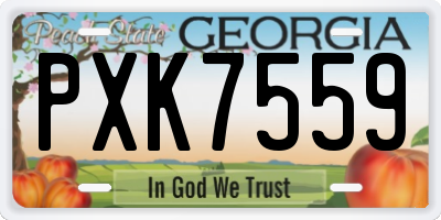 GA license plate PXK7559