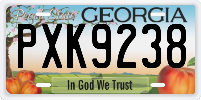 GA license plate PXK9238