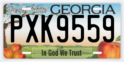 GA license plate PXK9559