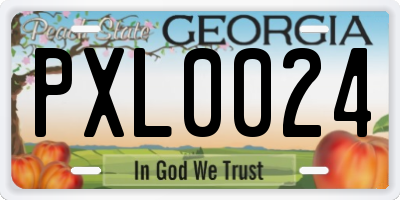 GA license plate PXL0024