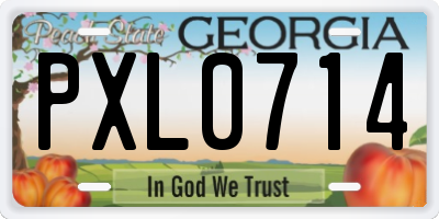 GA license plate PXL0714
