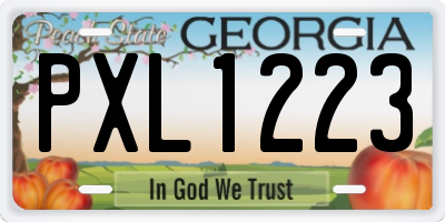 GA license plate PXL1223