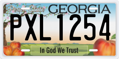 GA license plate PXL1254