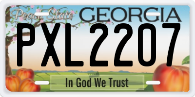 GA license plate PXL2207