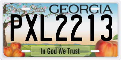GA license plate PXL2213