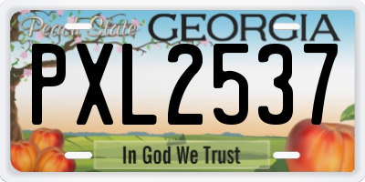 GA license plate PXL2537