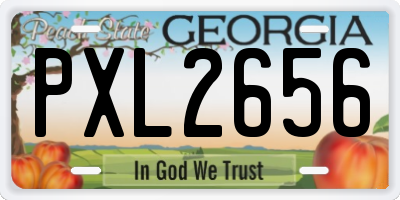 GA license plate PXL2656