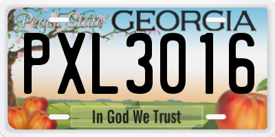 GA license plate PXL3016