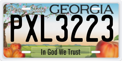 GA license plate PXL3223