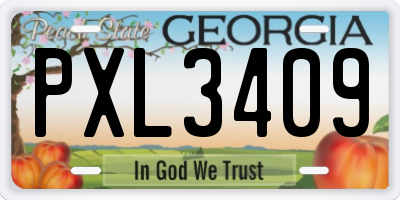 GA license plate PXL3409