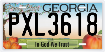 GA license plate PXL3618