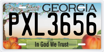 GA license plate PXL3656