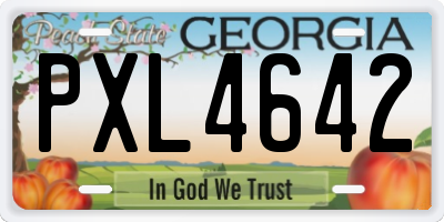 GA license plate PXL4642