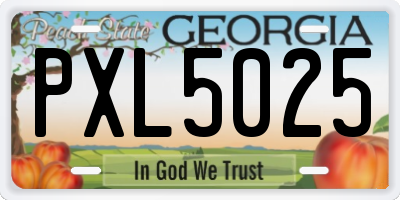 GA license plate PXL5025