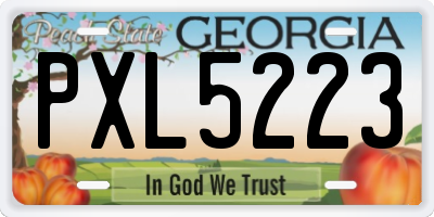 GA license plate PXL5223