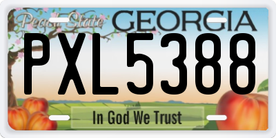 GA license plate PXL5388