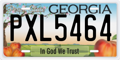 GA license plate PXL5464