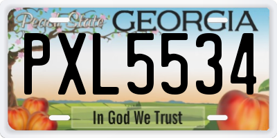 GA license plate PXL5534