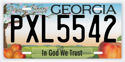 GA license plate PXL5542