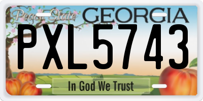 GA license plate PXL5743