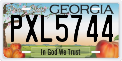 GA license plate PXL5744