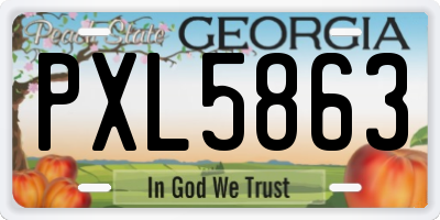 GA license plate PXL5863