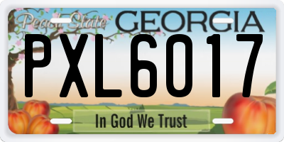 GA license plate PXL6017