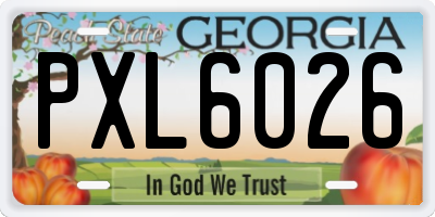 GA license plate PXL6026