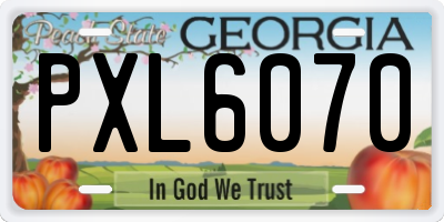 GA license plate PXL6070
