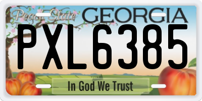 GA license plate PXL6385