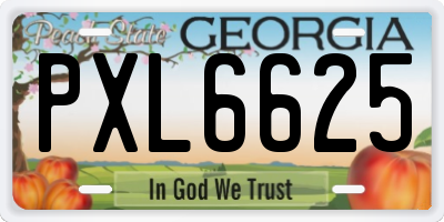 GA license plate PXL6625