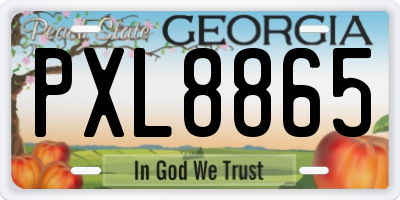 GA license plate PXL8865