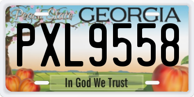 GA license plate PXL9558