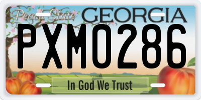 GA license plate PXM0286