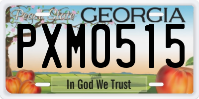 GA license plate PXM0515