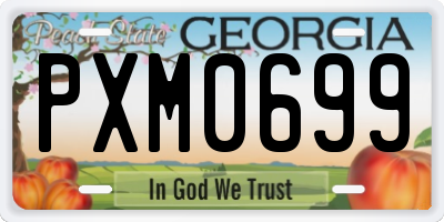 GA license plate PXM0699